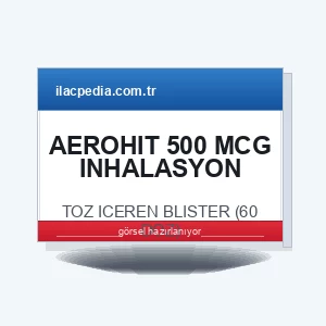 AEROHIT 500 MCG INHALASYON ICIN TOZ ICEREN BLISTER (60 DOZ)
